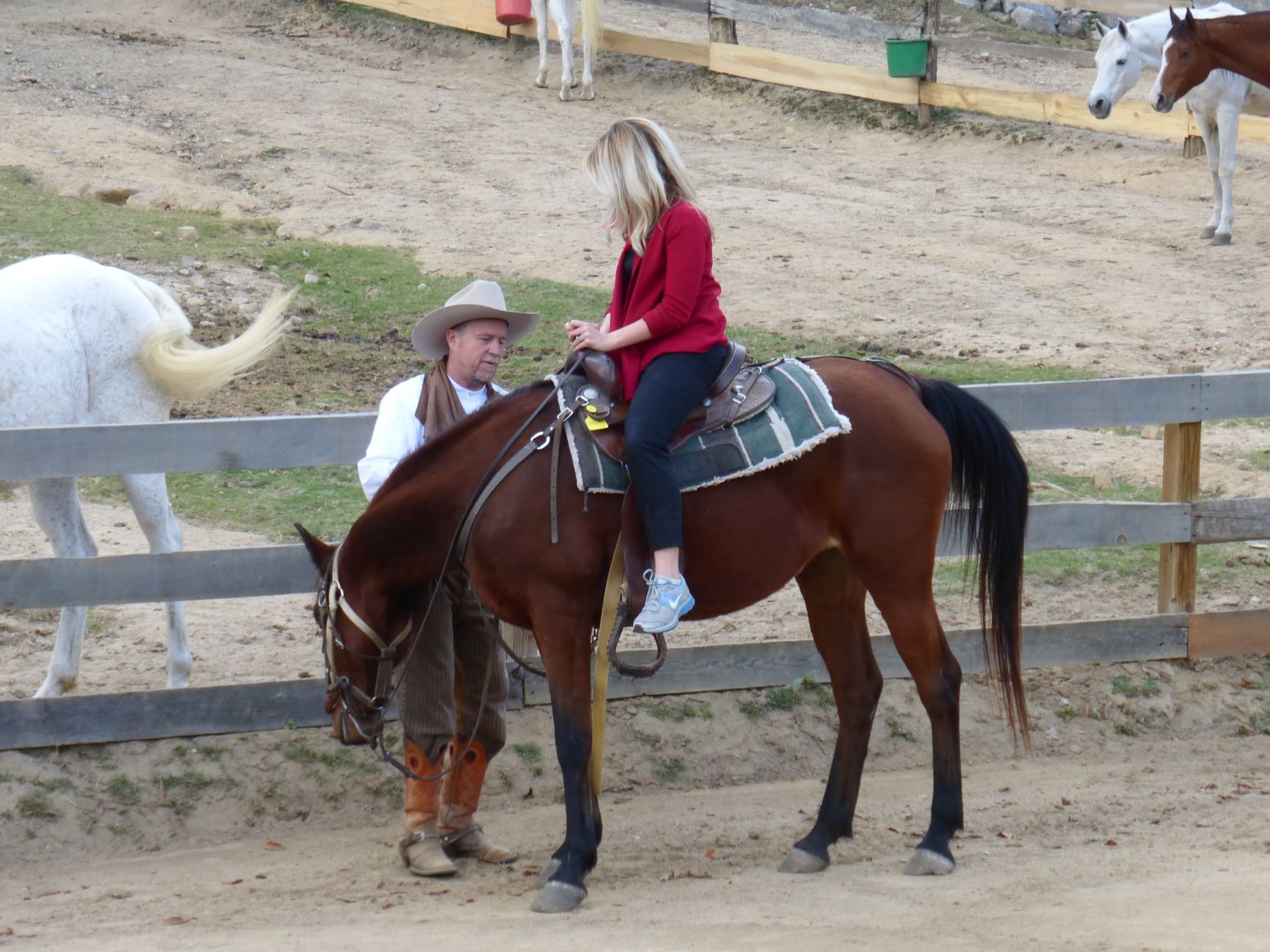 Tennessee dude ranch
